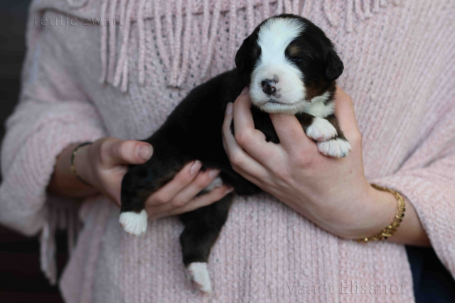 Xx-nest 08-10-2025 Xx-nest 08-10-2025