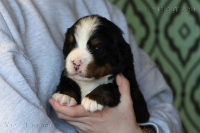 Ww-nest 29-09-2025 Ww-nest 29-09-2025